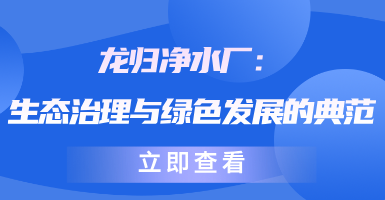 龙归净水厂：生态治理与绿色发展的典范